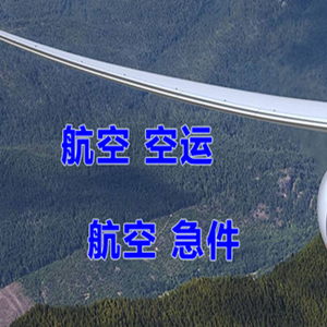 大理凤仪机场托运快递-选东方航空和上海航空